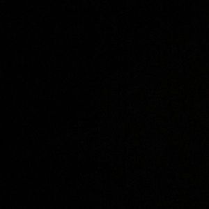 Meet your Posher, Liz